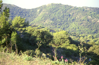 Le massif du Cap Sicié