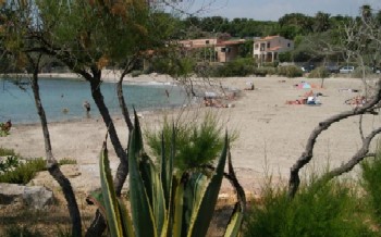 Plage des roches Brunes
